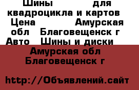 Шины 13-5.00-6 для квадроцикла и картов › Цена ­ 1 400 - Амурская обл., Благовещенск г. Авто » Шины и диски   . Амурская обл.,Благовещенск г.